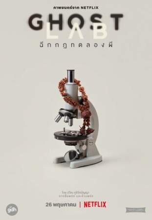 Призрачная лаборатория онлайн